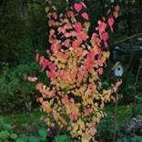 org:/landingpages/winnaars DK NO SE/21e-prize-scandinavie.jpg